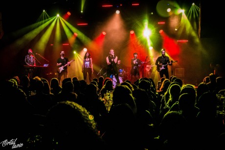 Rockville - Israeli Party